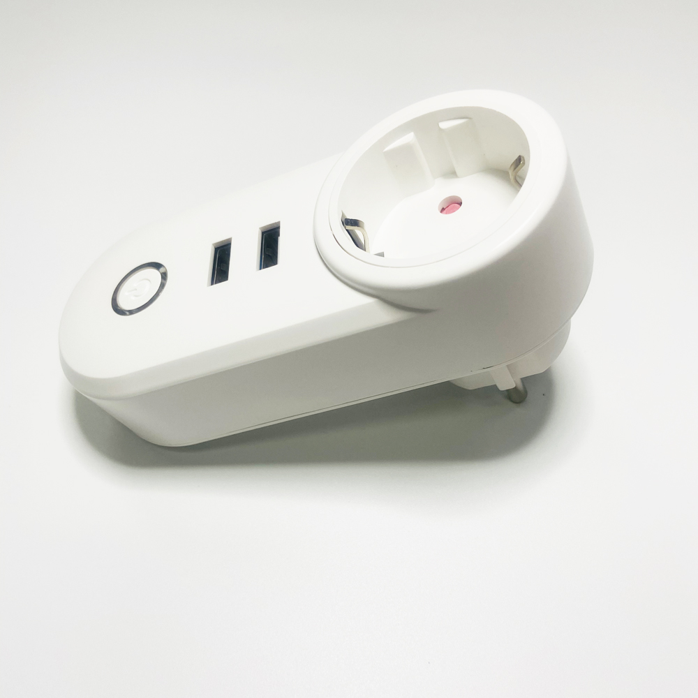1Pcs 2.4G WIFI Power Plug With - Smart Home Energy App reseña y precio